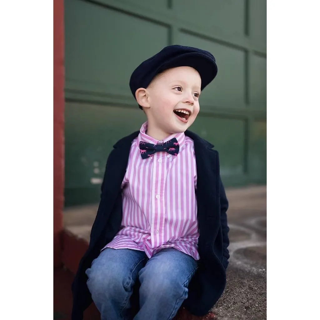 Aqua Derby Horses Bow Tie