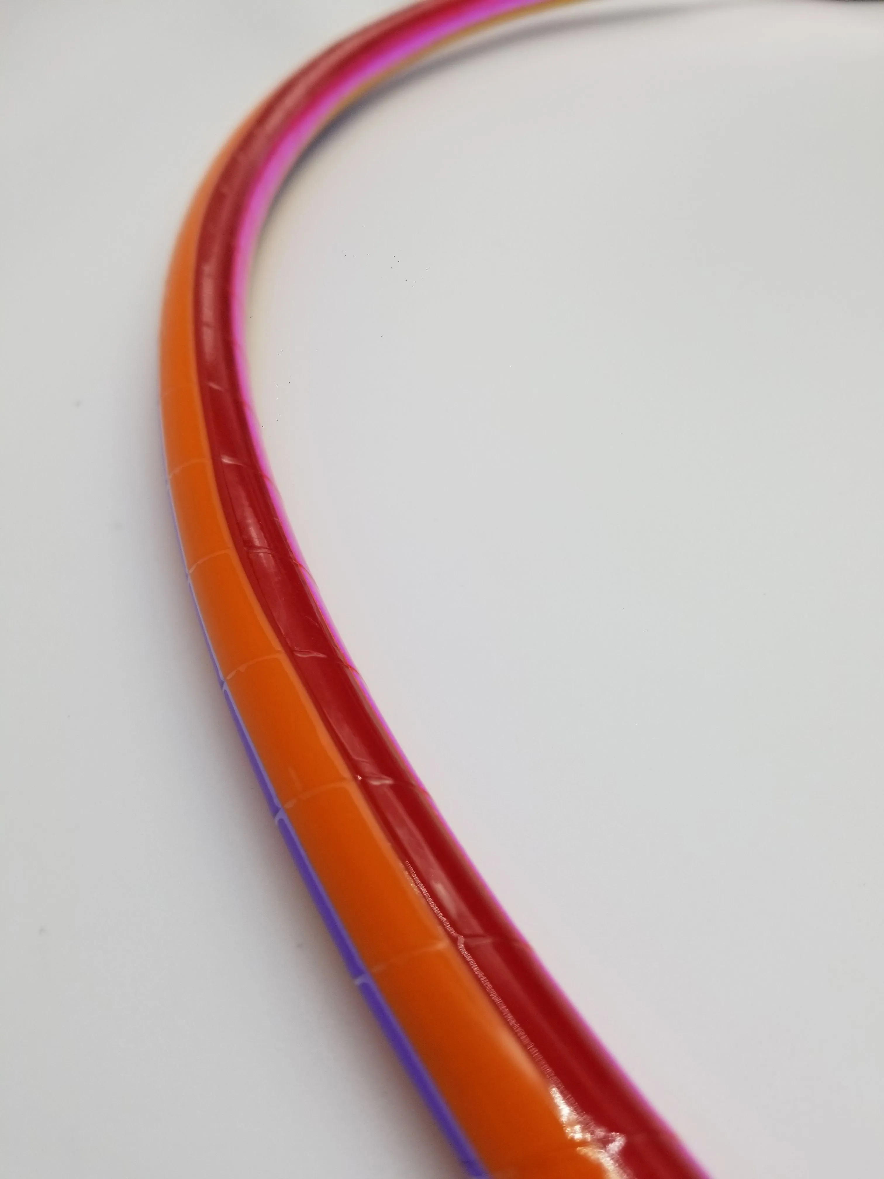 Leo Zodiac Specialty Reflective Taped Hoop