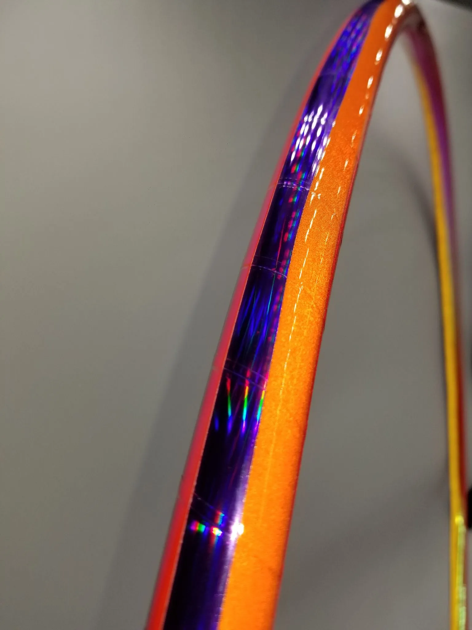 Leo Zodiac Specialty Reflective Taped Hoop